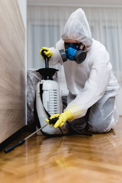 Best Pest Control for Multi-Family Homes  in Rio Verde, AZ